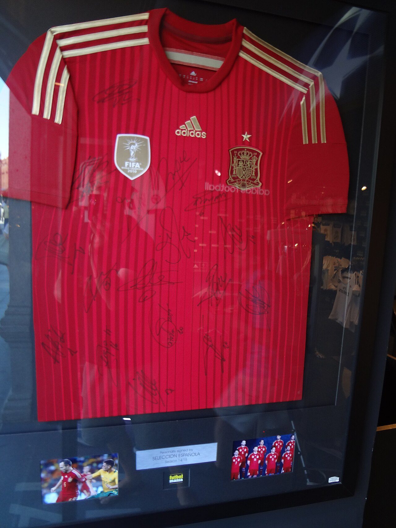 世界杯 法国观察｜欧洲 姆巴佩 领衔 阵容·前景（乐鱼在线登录入口）
